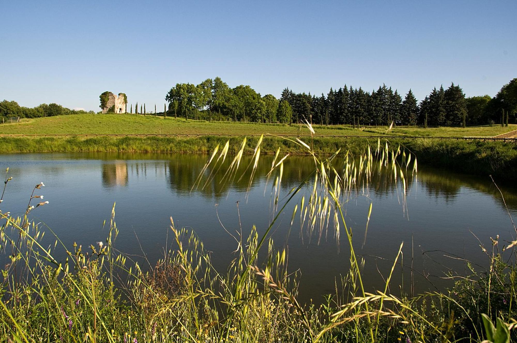 Tenuta Del Gallo Amelia Exteriér fotografie