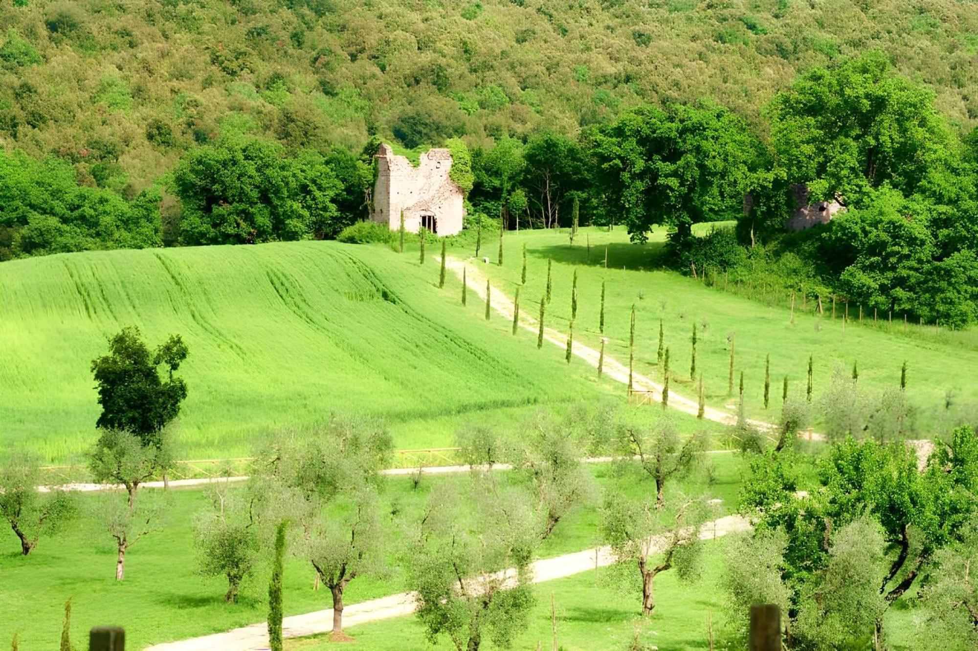 Tenuta Del Gallo Amelia Exteriér fotografie