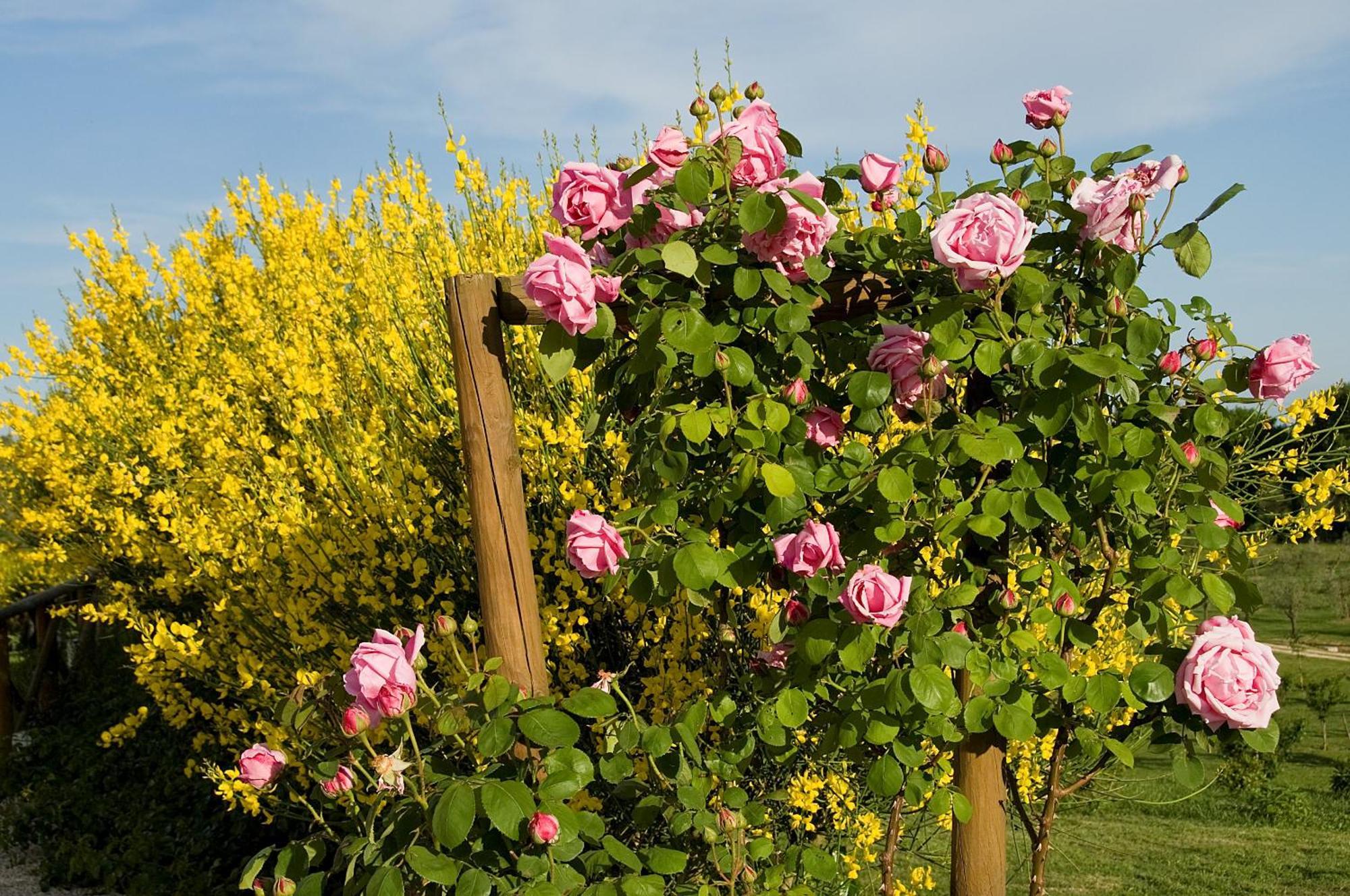 Tenuta Del Gallo Amelia Exteriér fotografie